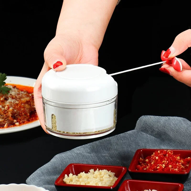 Mini Food Garlic Vegetable Grinder Chopper.